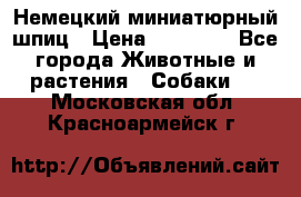 Немецкий миниатюрный шпиц › Цена ­ 60 000 - Все города Животные и растения » Собаки   . Московская обл.,Красноармейск г.